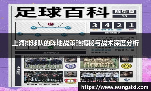 上海排球队的阵地战策略揭秘与战术深度分析