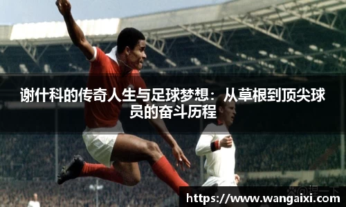 谢什科的传奇人生与足球梦想：从草根到顶尖球员的奋斗历程